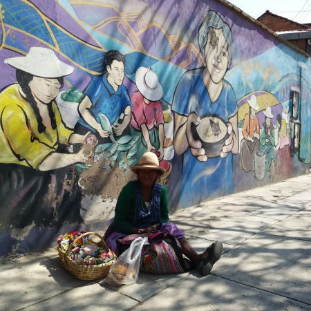 Boliwia: Boliwijka w środku miasta